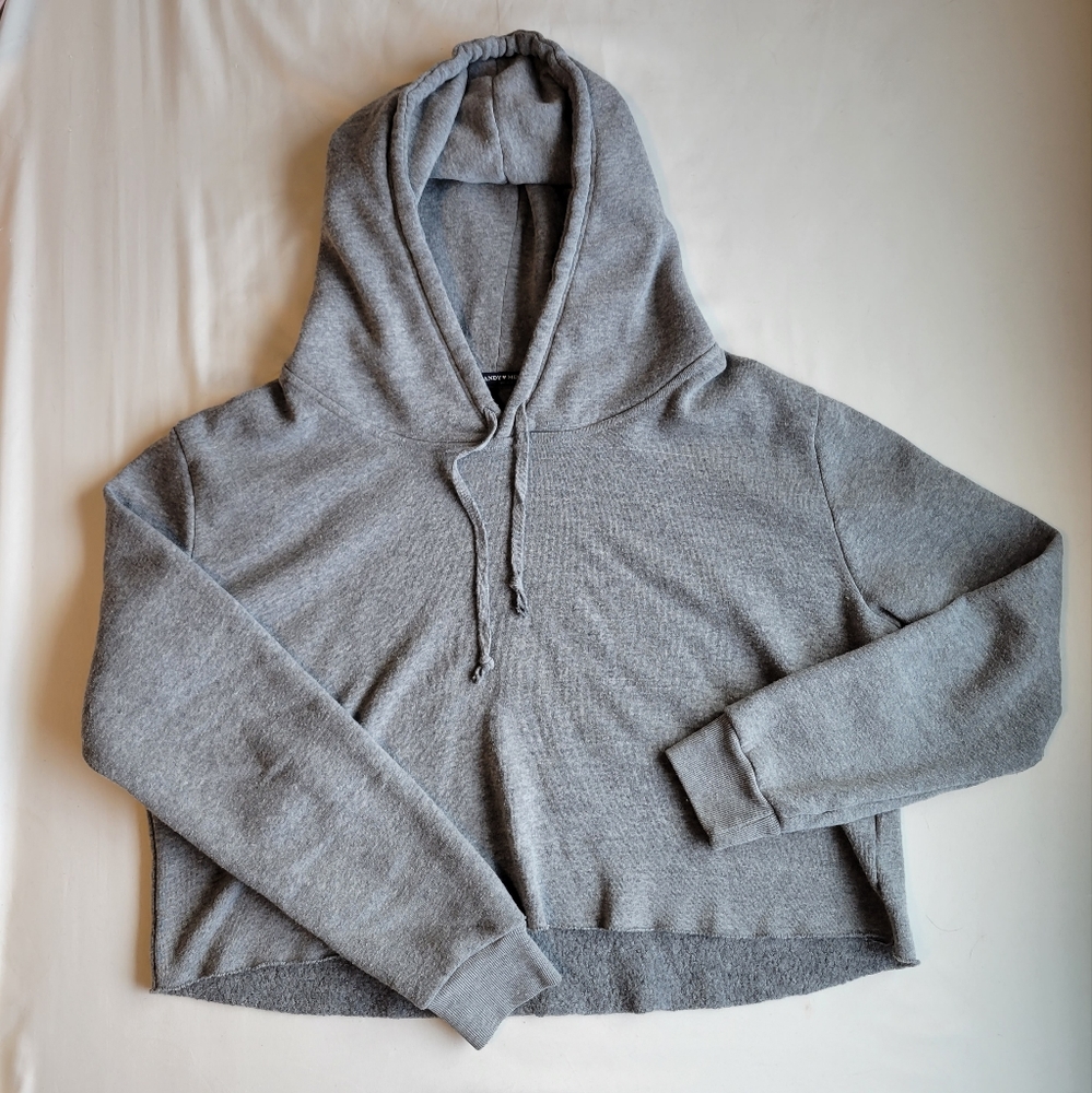 Gray Brady Melville Cropped Sweatshirt